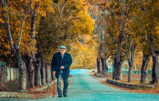 秋天 黄的树叶 小路 - 上的免费照片