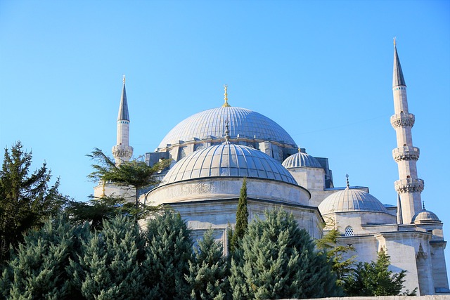 苏莱曼尼耶 伊斯坦布尔 土耳其 - 上的免费照片
