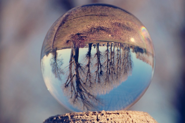 玻璃球 树木 排树 - 上的免费照片
