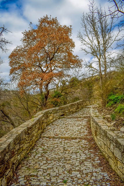 小路 鹅卵石 鹅卵石路径 - 上的免费照片