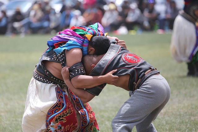 Mongolian Wrestle Wrestling - 上的免费照片