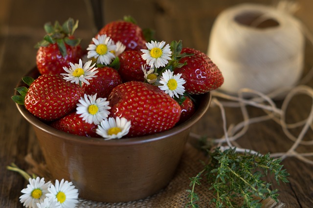 草莓 雏菊 雏 - 上的免费照片