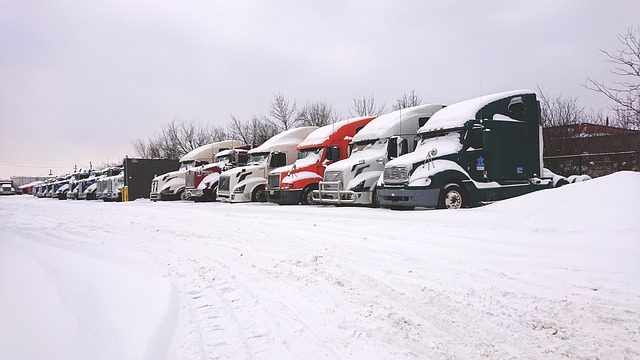 卡车在雪 雪车 院子里的车 - 上的免费照片