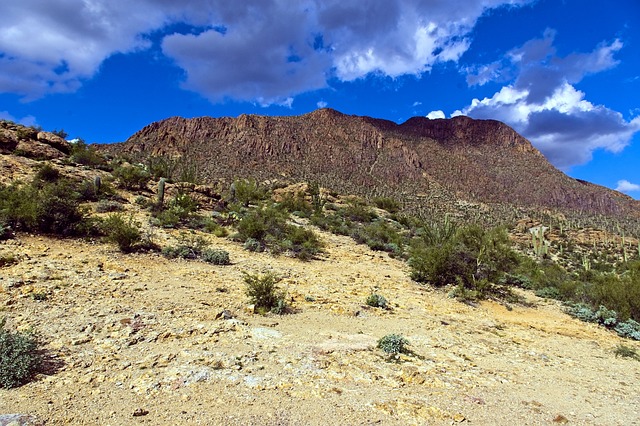 Tucson山公园 沙漠 山 - 上的免费照片