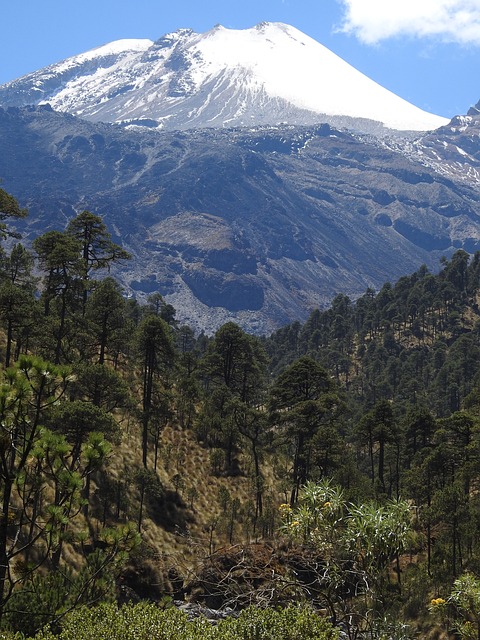 Pico De Orizaba 山 森林 - 上的免费照片