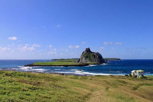 Fernando De Noronha 巴西 岛 - 上的免费照片