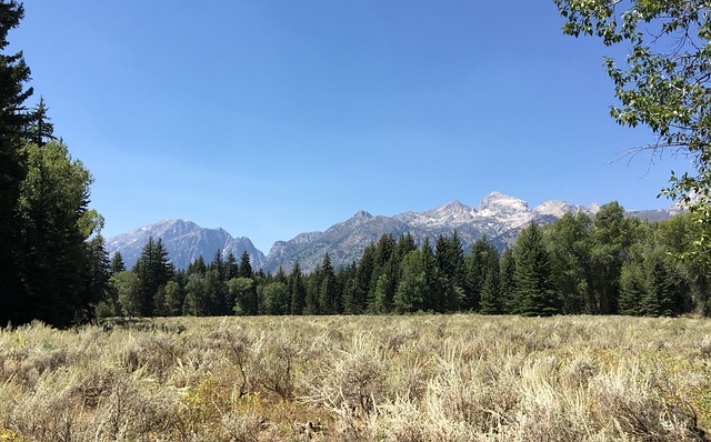 大特顿 怀俄明州 山 - 上的免费照片