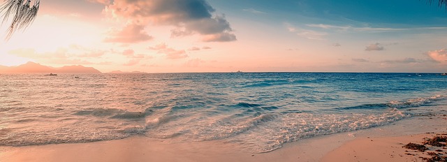 塞舌尔 全景 海 - 上的免费照片