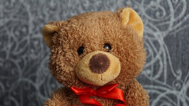 泰迪熊 填充玩具动物 毛绒熊 - 上的免费照片