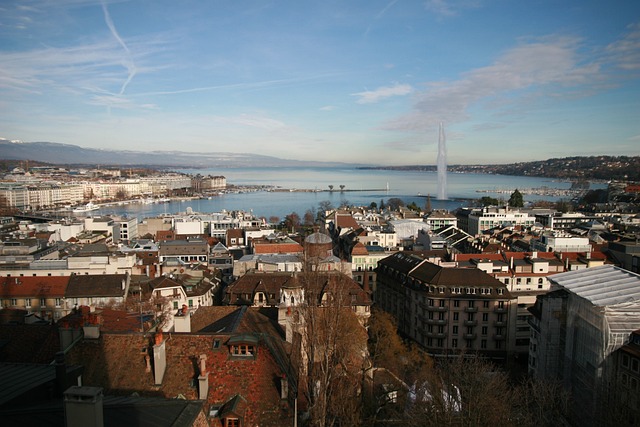 日内瓦 瑞士 水 - 上的免费照片