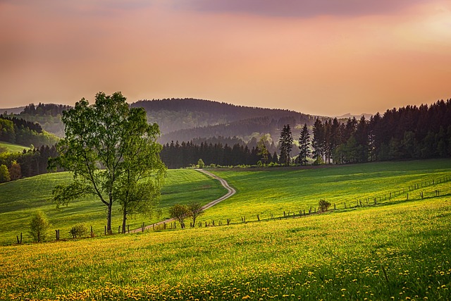 Sauerland 德国 景观 - 上的免费照片