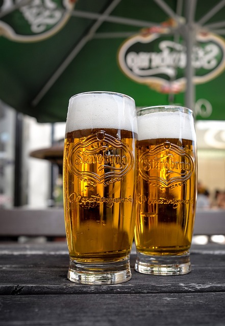 啤酒 捷克共和国 布尔诺 - 上的免费照片