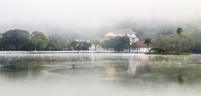 康提 斯里兰卡 （Kandy） - 上的免费照片