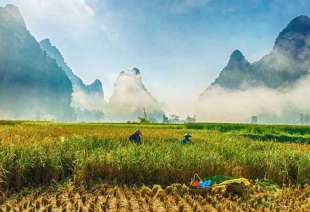 景观 横越南 山 - 上的免费照片