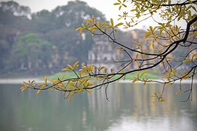 湖 乌龟塔 Hoan Kiem湖 - 上的免费照片