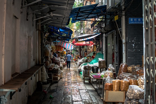 广州 中国 小路 - 上的免费照片