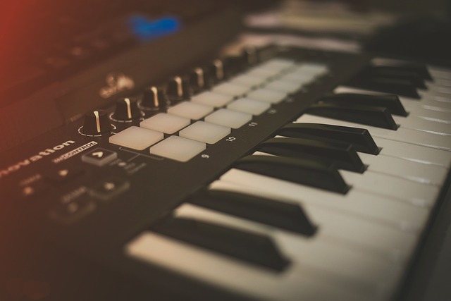 迷笛 音乐 键盘 - 上的免费照片