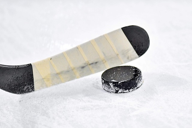 冰上曲棍球 冰 运动 - 上的免费照片