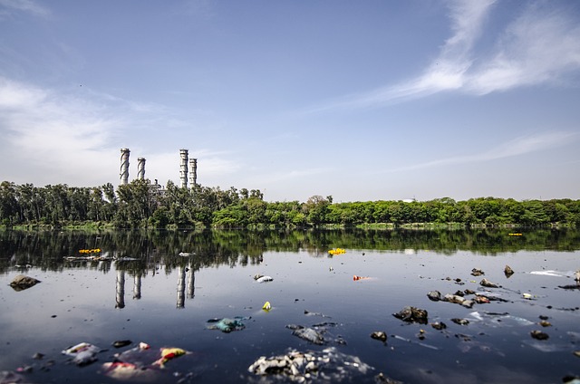 污染 水的污染 湖 - 上的免费照片