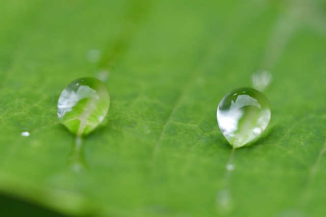 水 水點 水滴 - 上的免费照片