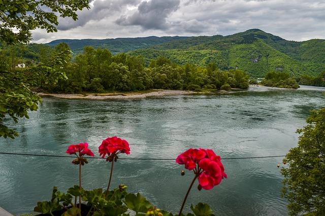 塞尔维亚 德里纳河 河 - 上的免费照片