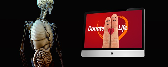 器官捐献 心 手指 - 上的免费图片
