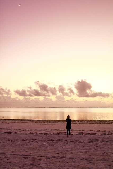 坦桑尼亚 海滩 日落 - 上的免费照片