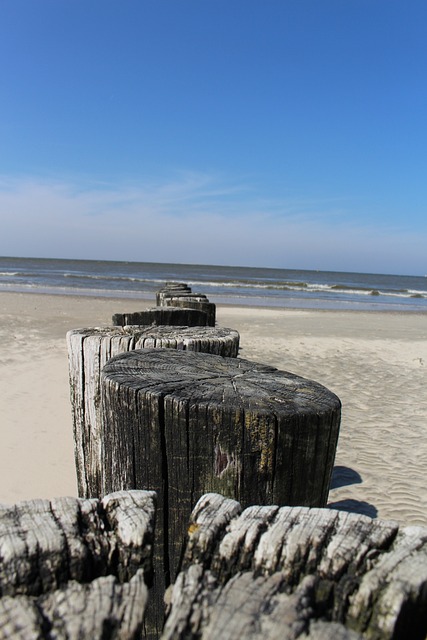 Ameland 霍勒姆 海滩 - 上的免费照片