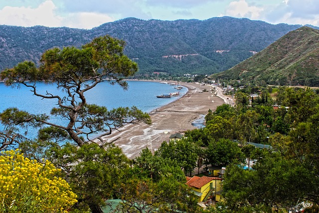 阿德拉桑 把它放在 海岸 - 上的免费照片