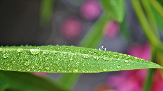 背景 模板 水滴 - 上的免费照片