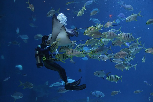 黄貂鱼 潜水 水族馆 - 上的免费照片