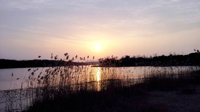 夕阳 余晖 风景 - 上的免费照片