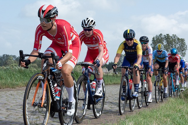 骑自行车 Wielerronde 比赛 - 上的免费照片