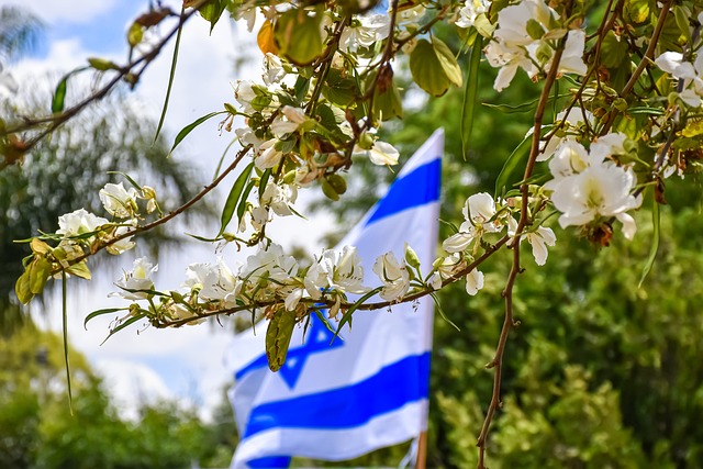 以色列国旗 花朵 春天 - 上的免费照片