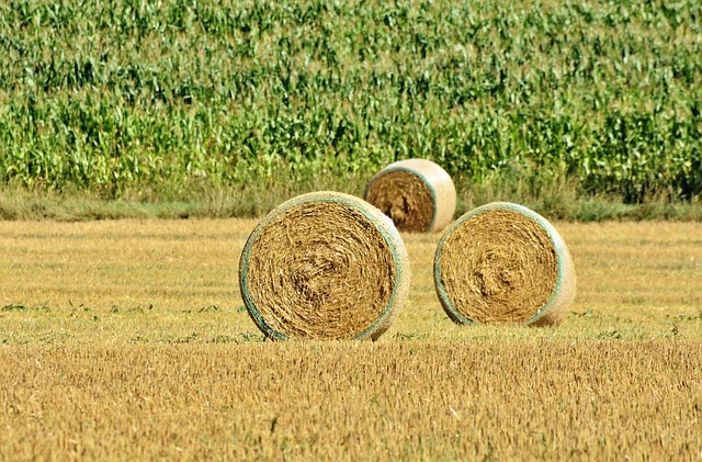 干草捆 稻草包 农业 - 上的免费照片