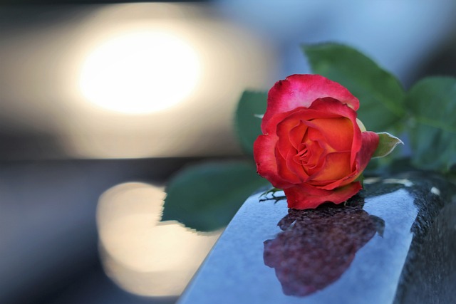 红黄玫瑰 爱的象征 黑色的大理石 - 上的免费照片