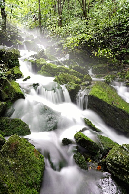 Moss 布鲁克 水 - 上的免费照片