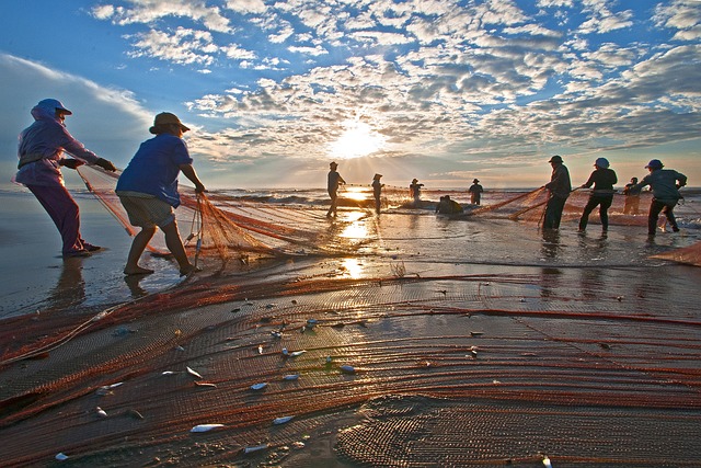 拖网 海 黎明 - 上的免费照片