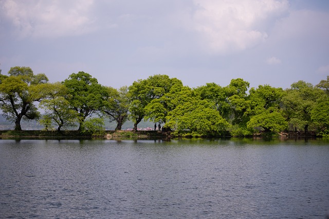 没拐 湖 水库 - 上的免费照片