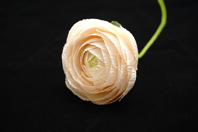 纸花 绉纸花 手工造纸花 - 上的免费照片