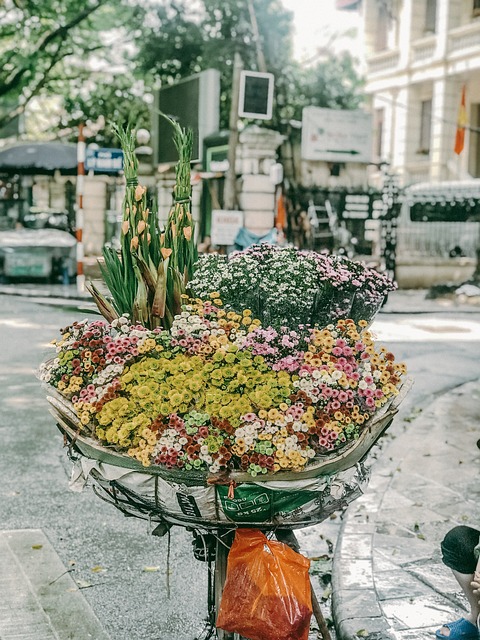 花自行车 越南 河内 - 上的免费照片