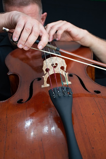 大提琴 音乐 经典的 - 上的免费照片