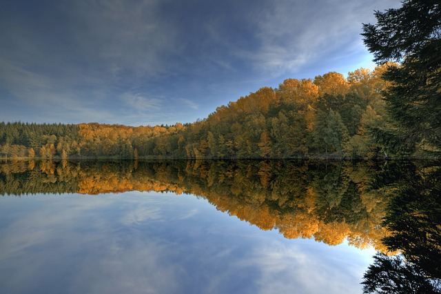 湖 池塘 Waldsee - 上的免费照片