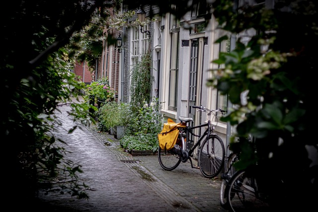 自行车 街道 街头摄影 - 上的免费照片