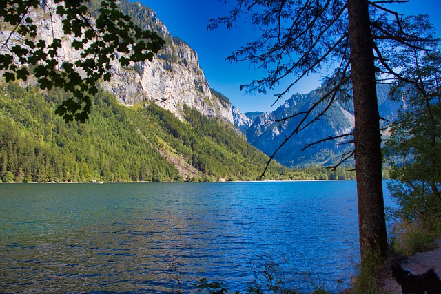 利奥波德Steinersee 湖 景观 - 上的免费照片