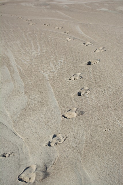 砂 海滩 痕迹 - 上的免费照片