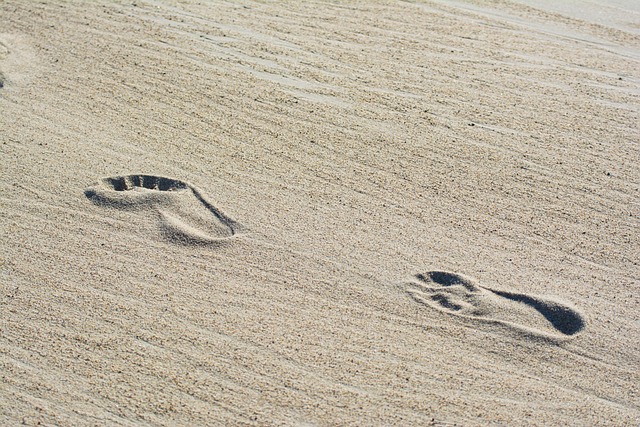 砂 海滩 痕迹 - 上的免费照片