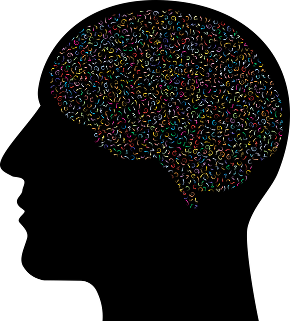 脑 心理学 头脑 - 免费矢量图形