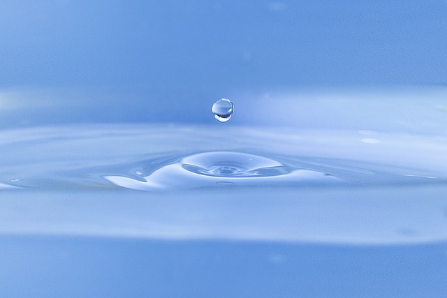 水滴 洗手间 自然 - 上的免费照片
