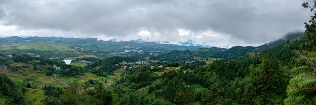 山 云 森林 - 上的免费照片